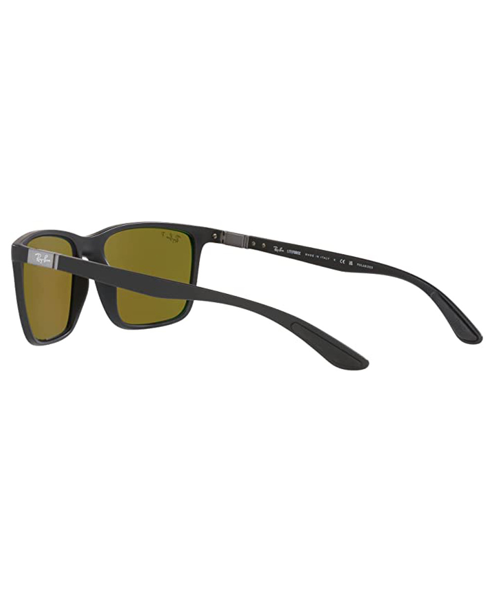 IWS | Ray Ban RB4385 Polarized Sunglasses