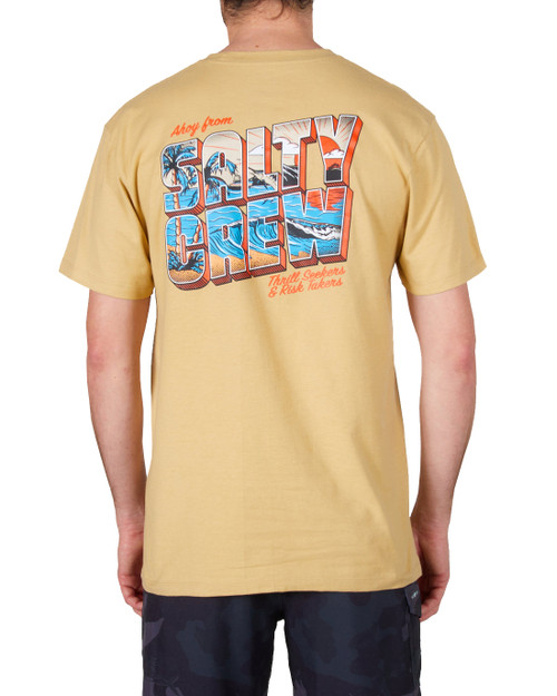 SALTY CREW GREETINGS PREMIUM S/S TEE