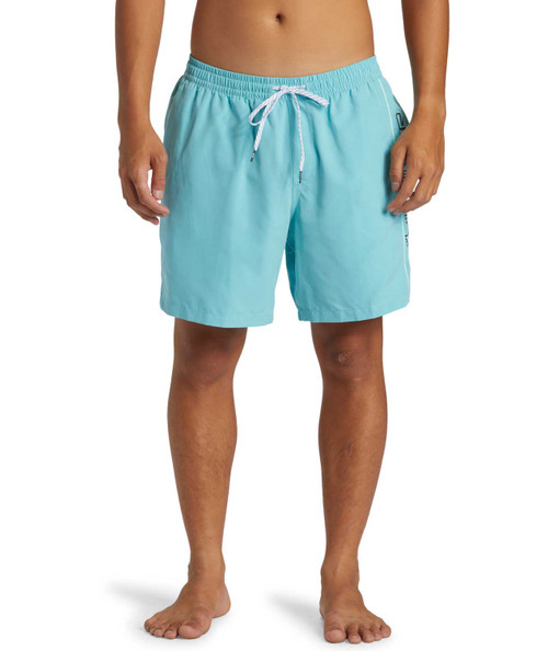 Quiksilver Everyday Vert Volley 2