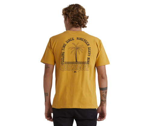 Quiksilver Indoor Voice SS Tee