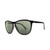 Electric Encelia Polarized Sunglasses