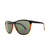 Electric Encelia Polarized Sunglasses