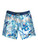 Quiksilver Highlite Arch 19 Boardshort