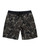 RVCA VA Print Trunk