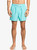 Quiksilver Everyday 15" Volleyshort