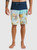 Quiksilver Surfsilk Panel 20" Boardshorts