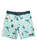 Quiksilver SurfSilk Boardshort