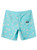 Quiksilver SurfSilk Boardshort
