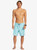 Quiksilver SurfSilk Boardshort