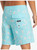 Quiksilver SurfSilk Boardshort