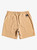 Quiksilver Boys Elastic 14 Shorts