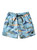 Quiksilver Everyday Jam Mixed Volley 17" Shorts