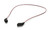 Oakley Eyewear Leash