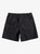 Quiksilver Made Better Short