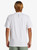 Quiksilver Everyday SS Surf Tee Quiksilver Everyday SS Surf Tee