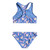 Roxy Lorem Cropped Bikini Set