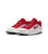Nike SB Ishod 2