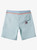 Quiksilver Street Trunk Utility Short