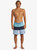 Quiksilver Surfsilk Tijuana Volley 17