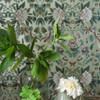 Ikebana Damask Gilver - 6