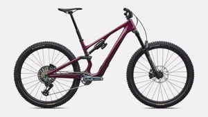 Stumpjumper 15 EVO Expert