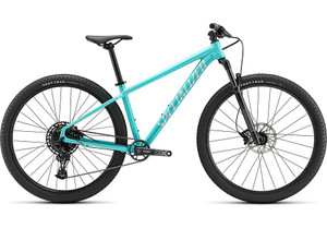 SPECIALIZED ROCKHOPPER EXPERT 29 SPECIALIZED ROCKHOPPER EXPERT 29