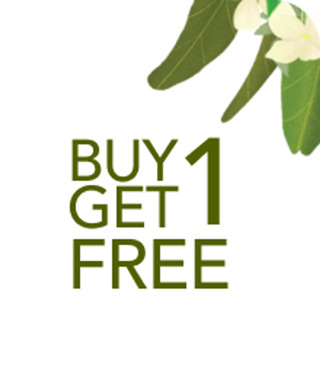 Buy 1 Get 1
