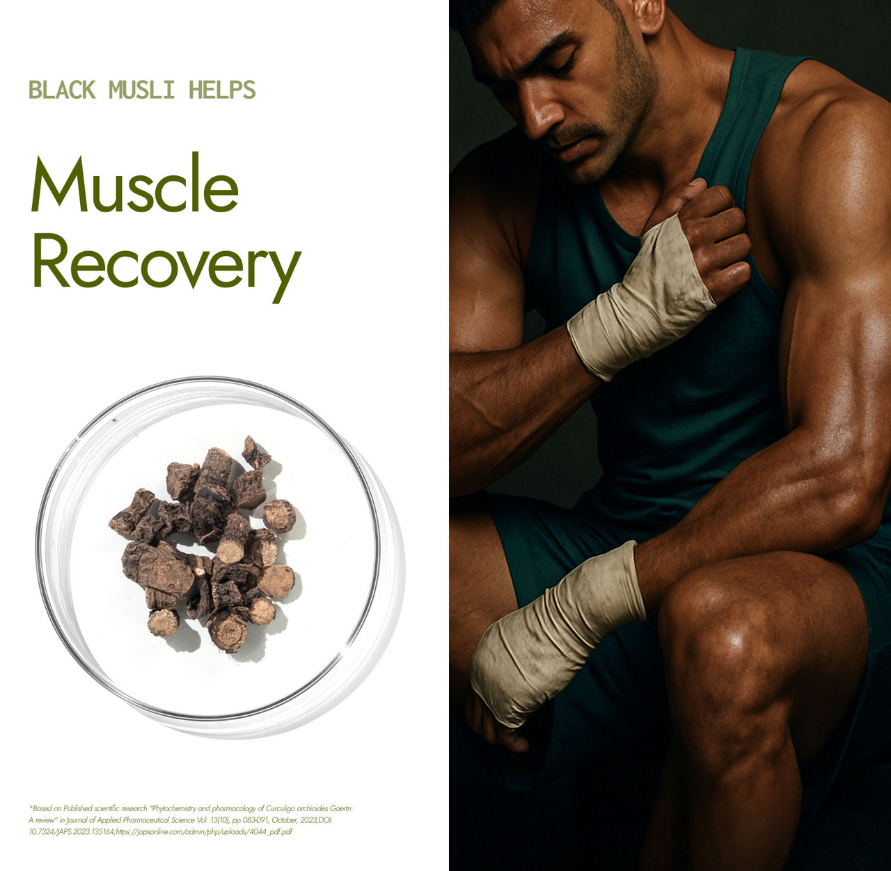 Shilajit Gold Mix - Natural Preworkout (Coffee Flavour) Shilajit Gold Mix - Natural Preworkout (Coffee Flavour)