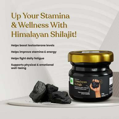 Buy Himalayan Shilajit Gym Power Up Combo (Pack of 2)