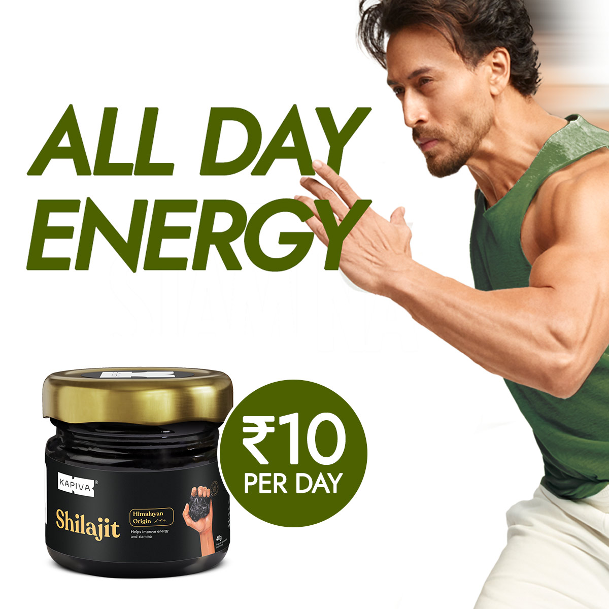 Buy Kapiva Pure Himalayan Shilajit | Natural Stamina Booster