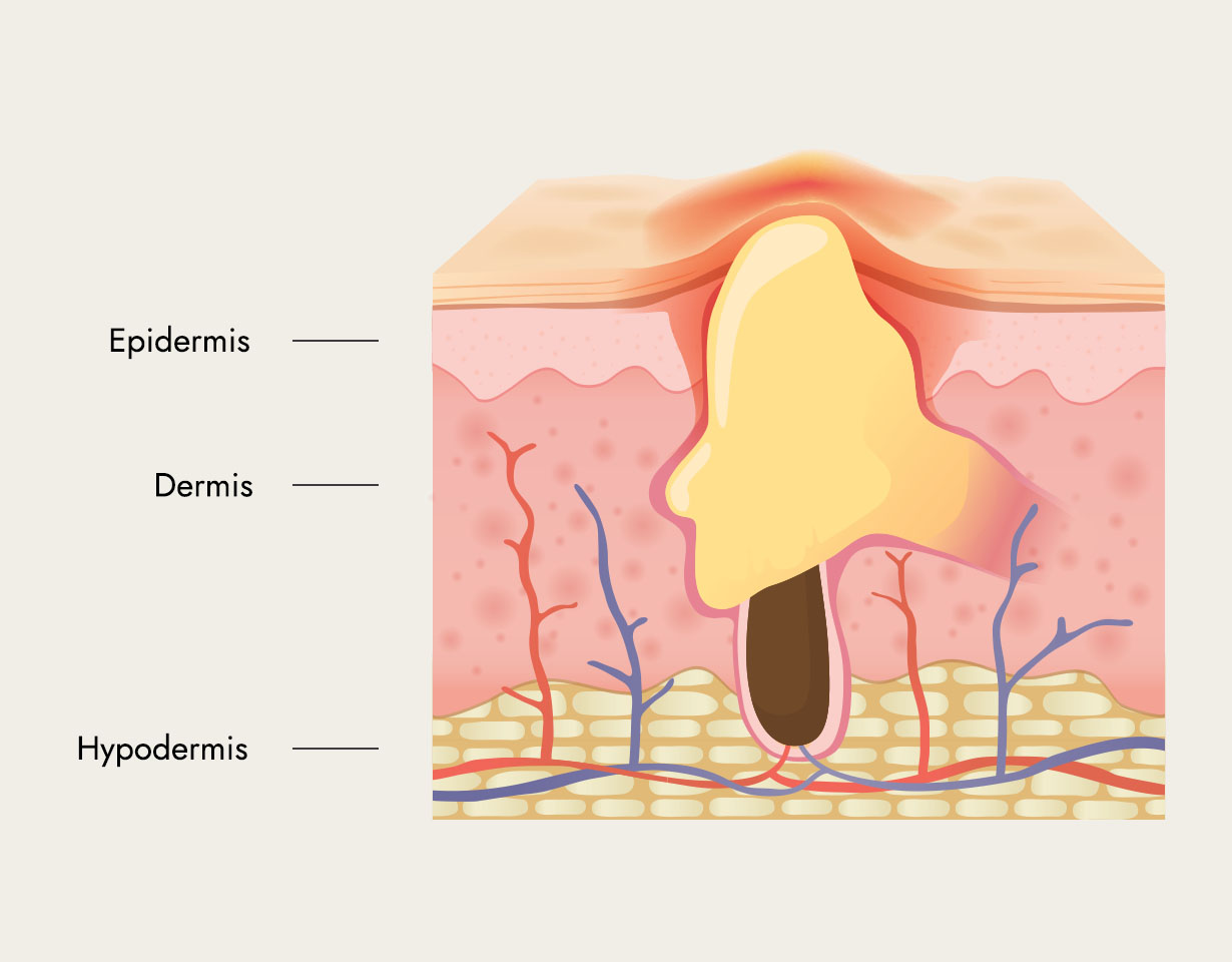 science behind the product image