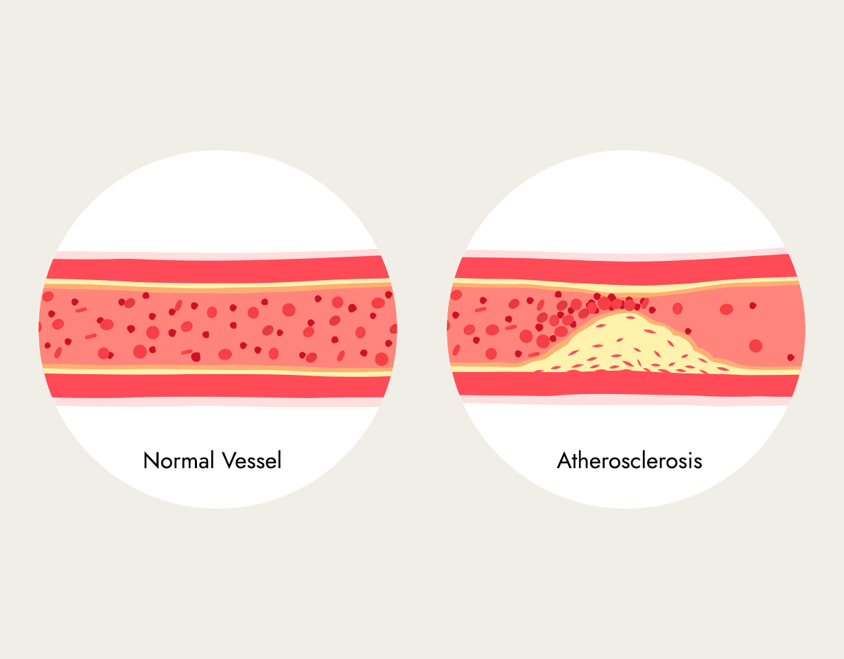 science behind the product image