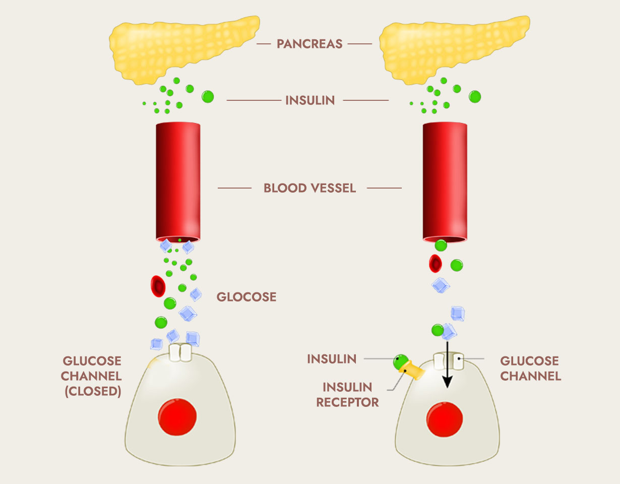 science behind the product image