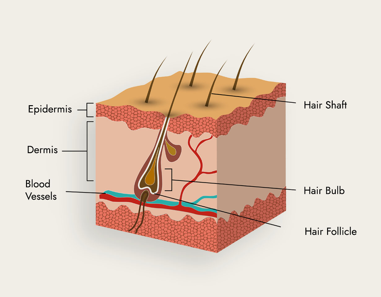 science behind the product image