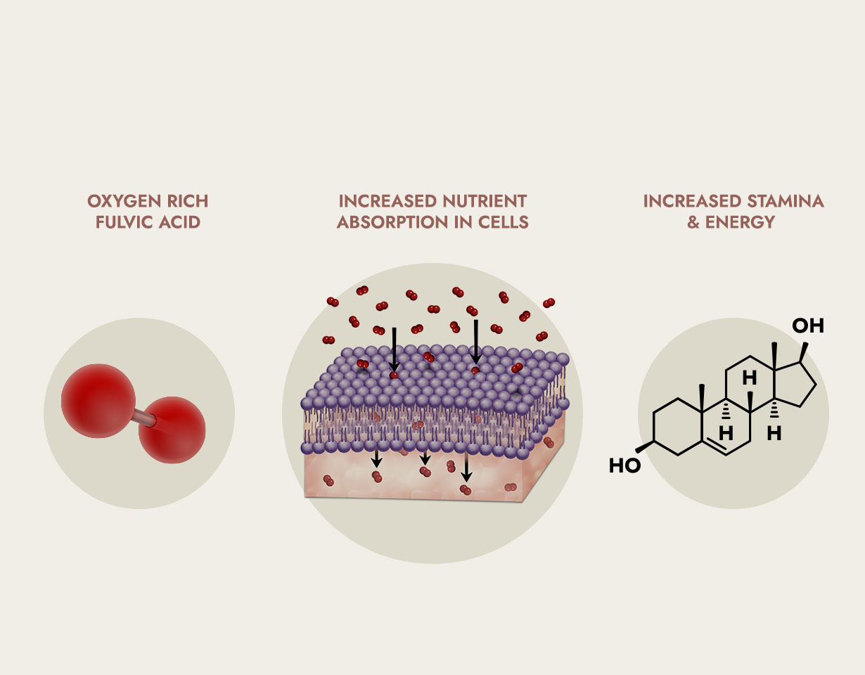 science behind the product image