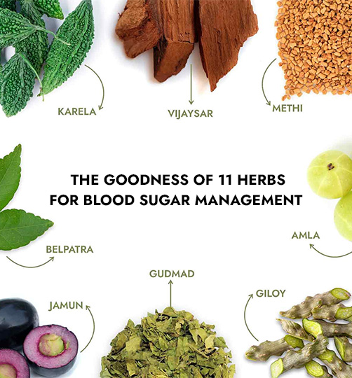 Kapiva Dia Free Juice 11 herbs for sugar management including Karela, Vijaysar, Methi, Jamun, Gudmar, Giloy, Amla and Belpatra