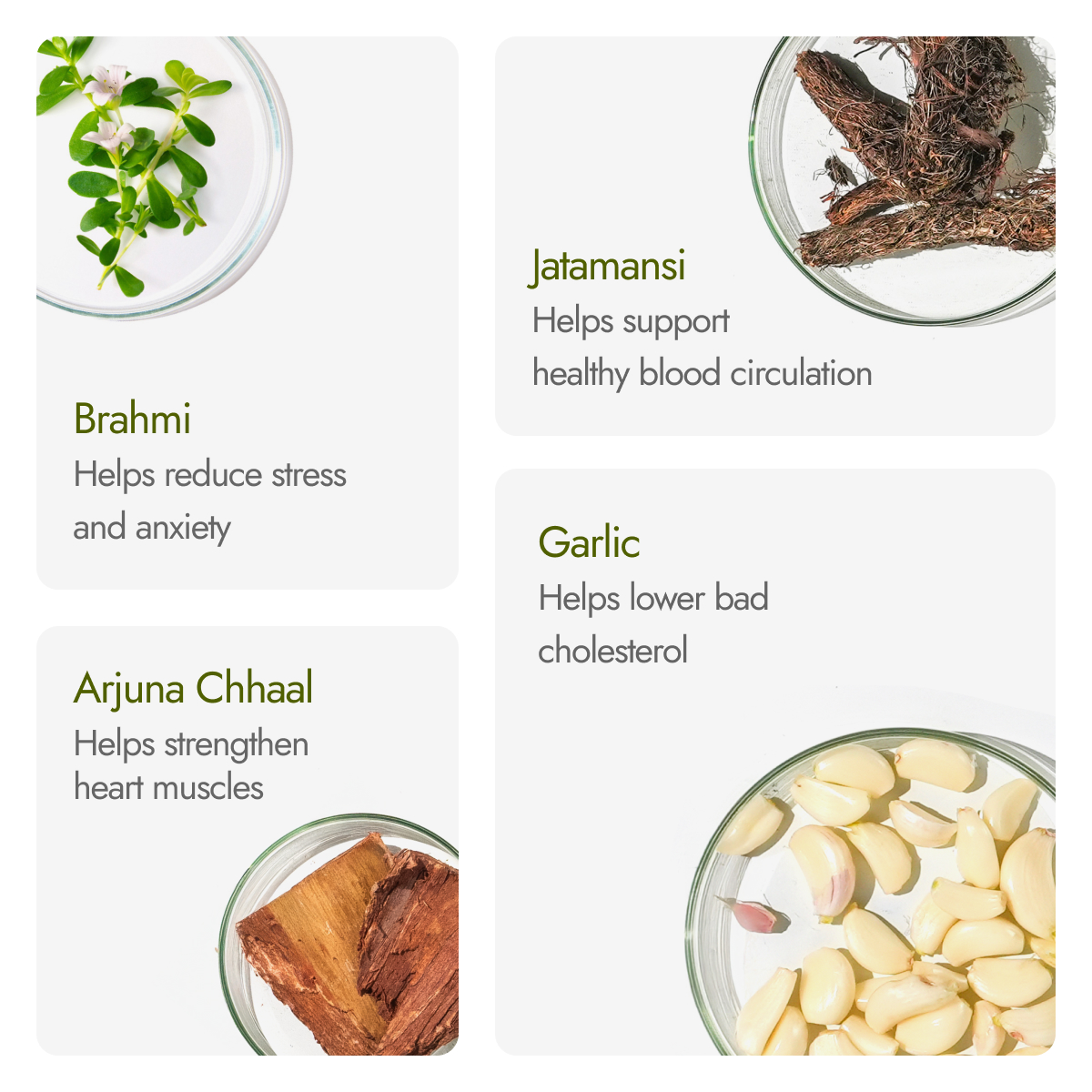 Kapiva BP Care Juice key herbs with Brahmi for stress, Jatamansi for circulation, Arjuna for heart and Garlic for cholesterol