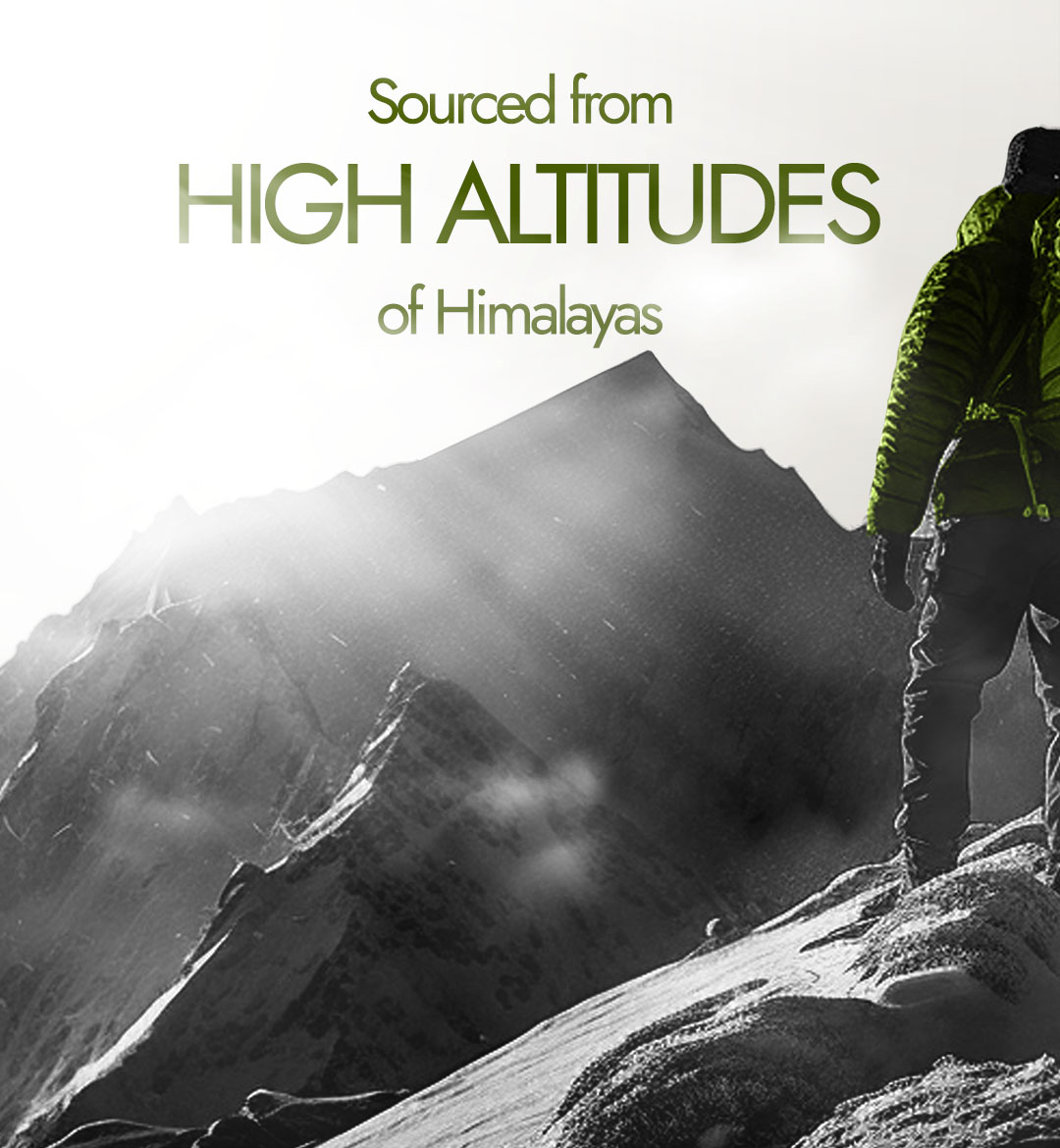 Shilajit Energy Capsules