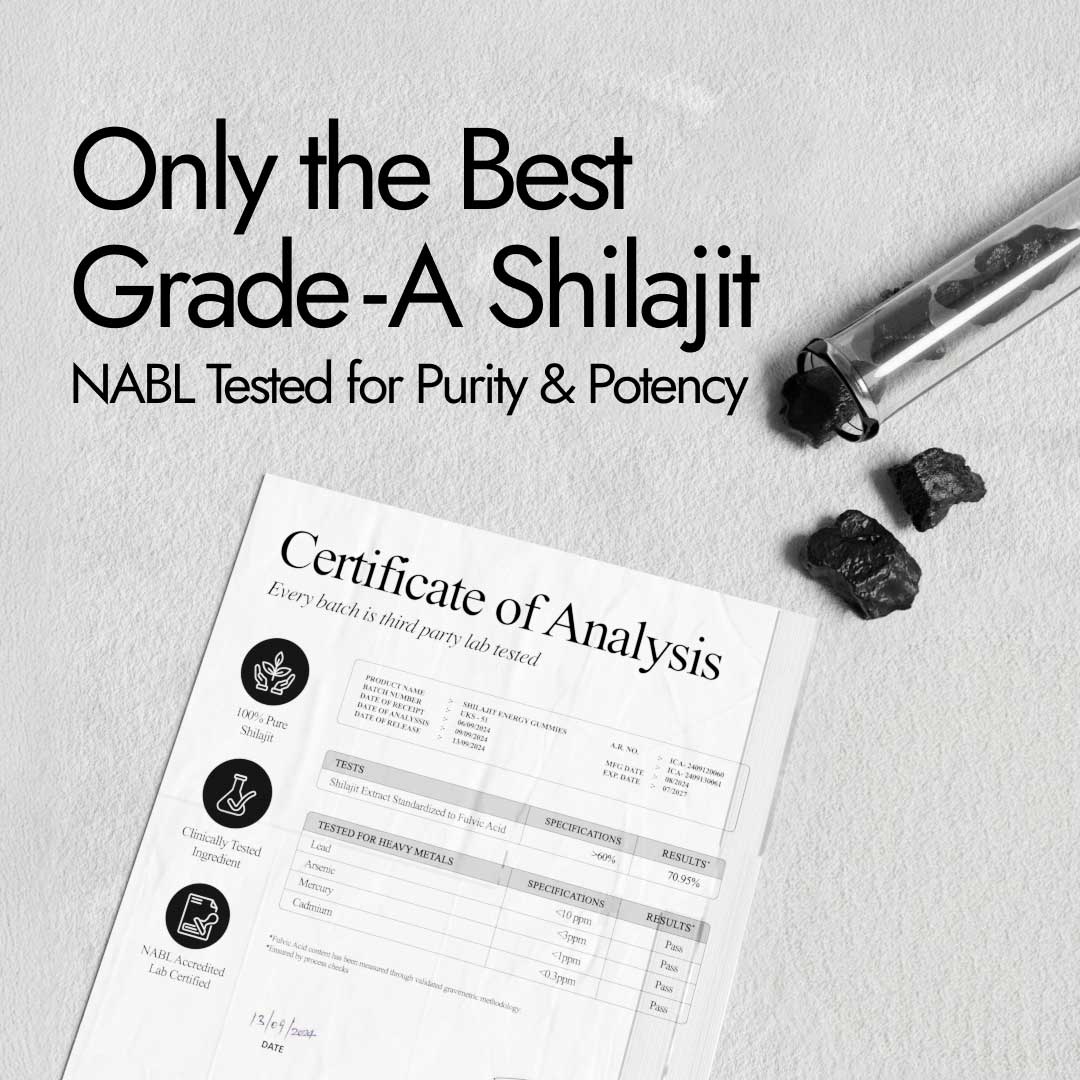 Shilajit Energy Gummies