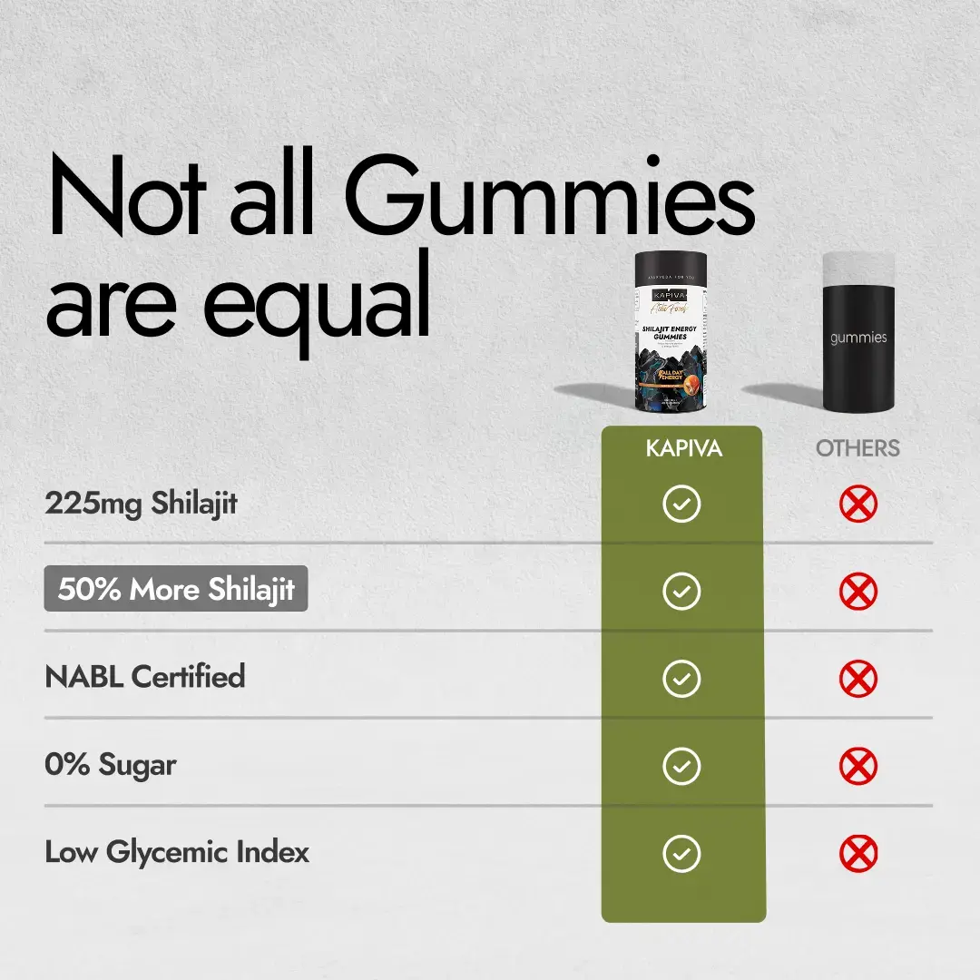 Shilajit Energy Gummies
