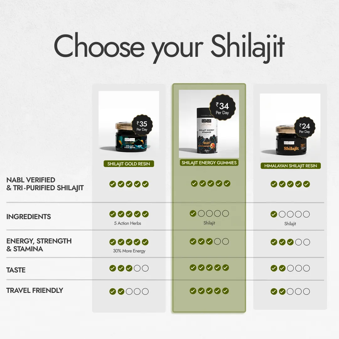 Shilajit Energy Gummies