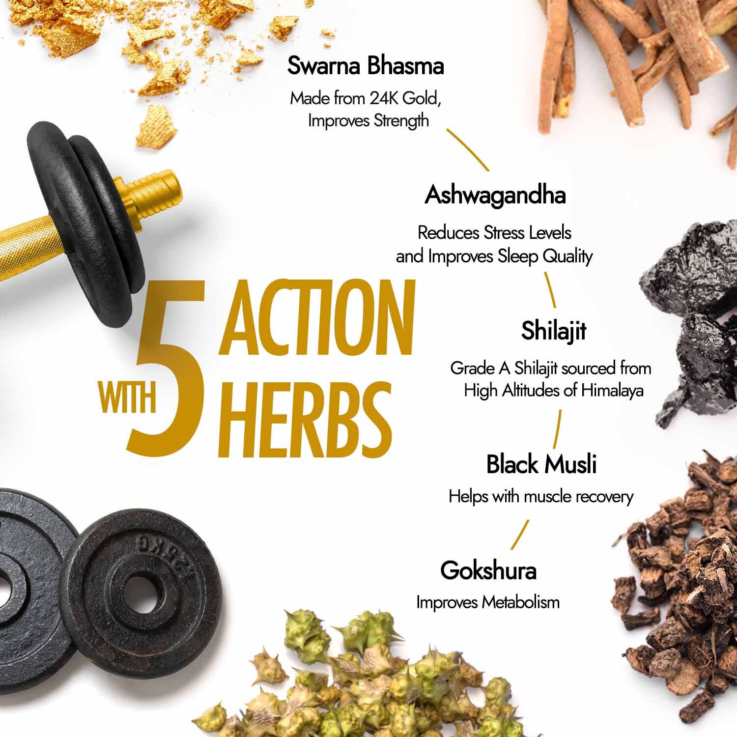Shilajit Gold Capsules - 60 Caps