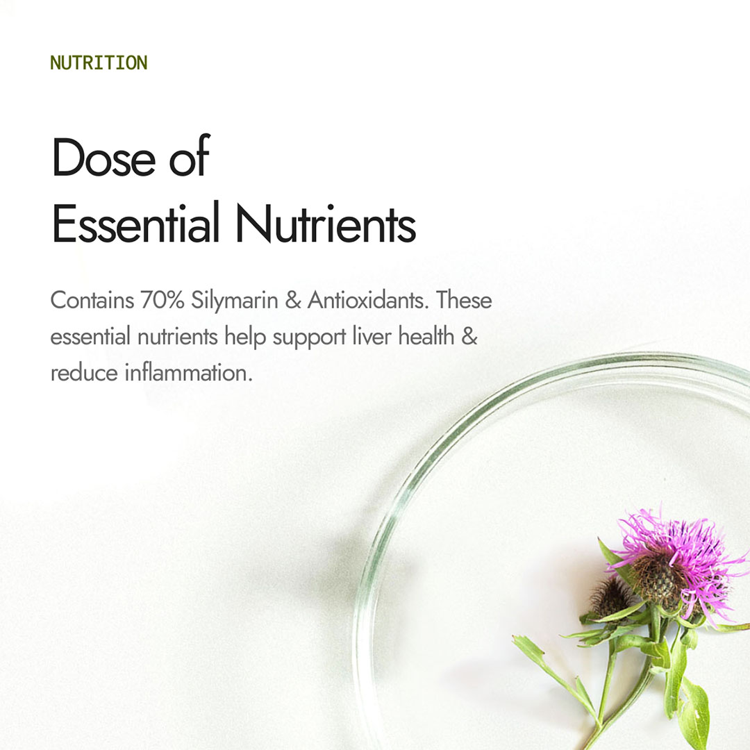 Milk Thistle Capsules