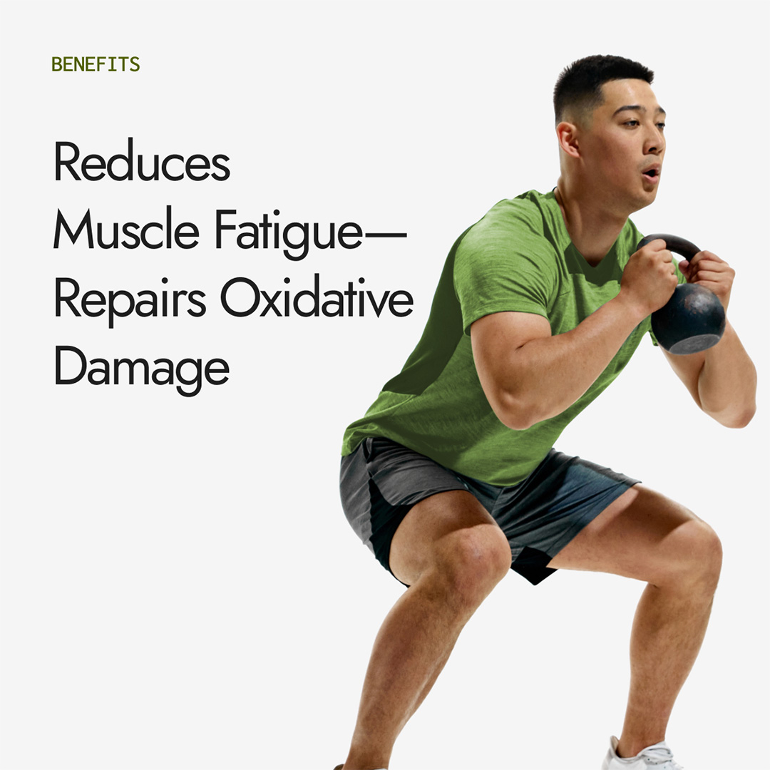 Milk Thistle Capsules