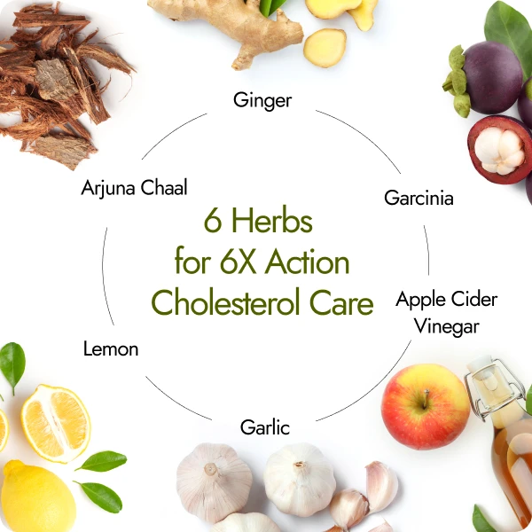  6 key herbs in Kapiva Cholest Fit Juice, arjuna chaal, ginger, garcinia, apple cider vinegar, garlic, lemon
