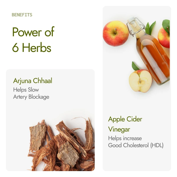 Arjuna chhaal and apple cider vinegar ingredients in Kapiva Cholest Fit Juice, artery and HDL benefits