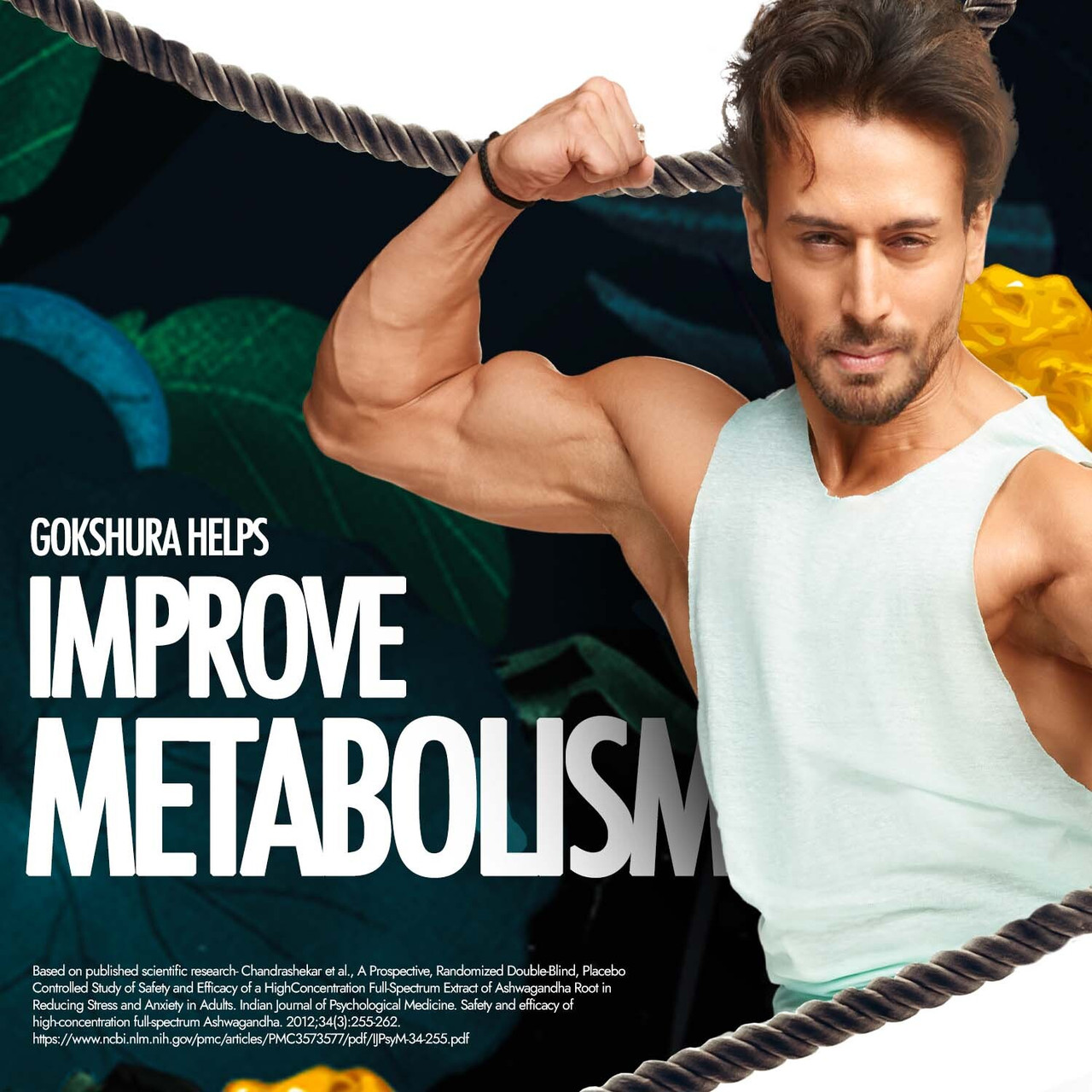 Shilajit Gold Capsules