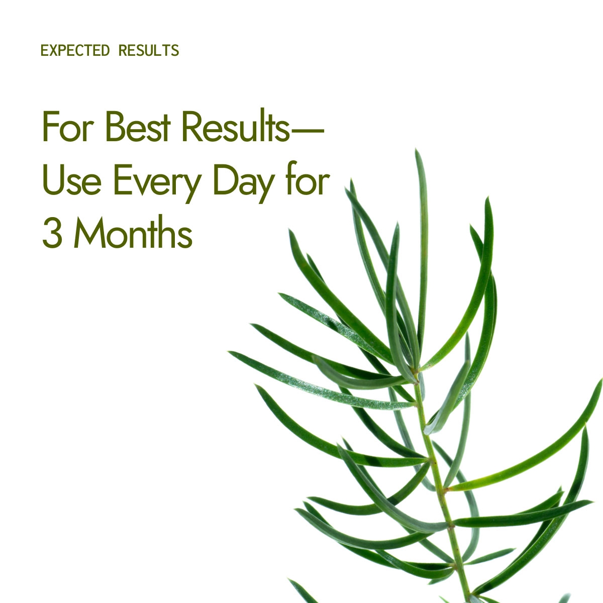 Kapiva Shatavari Balance Juice best results with daily use for 3 months with green herb leaf