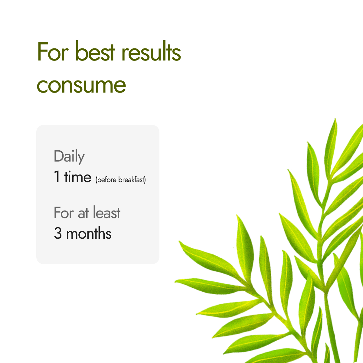 Kapiva Dia Free 2X Tablets best results guide, consume once daily before breakfast for at least 3 months