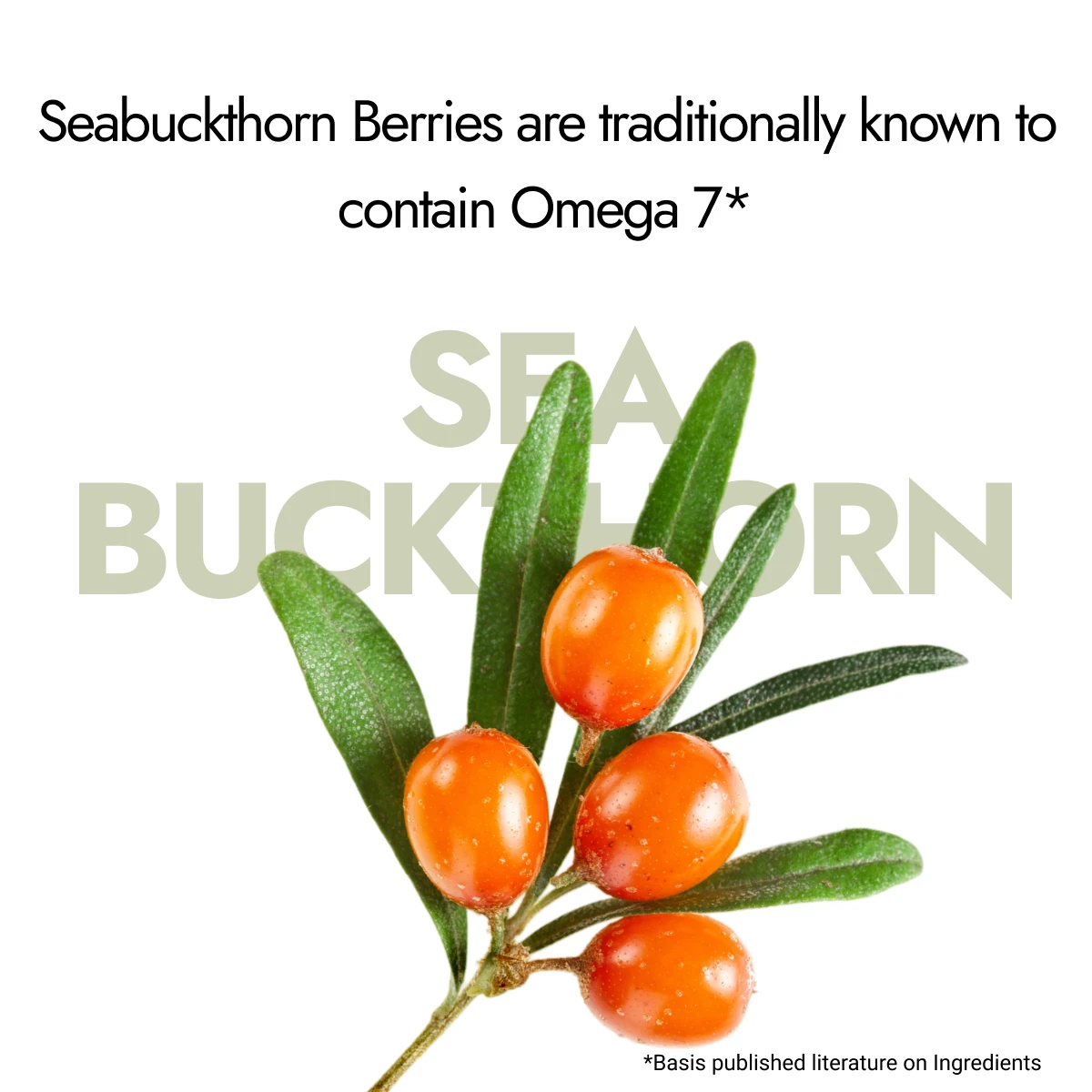 Sea Buckthorn Juice